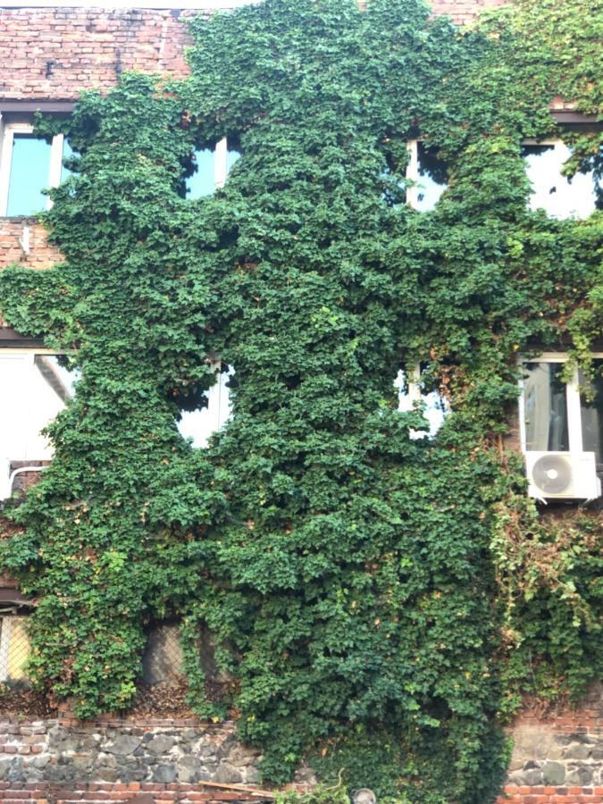 Center House Apartment Sofia